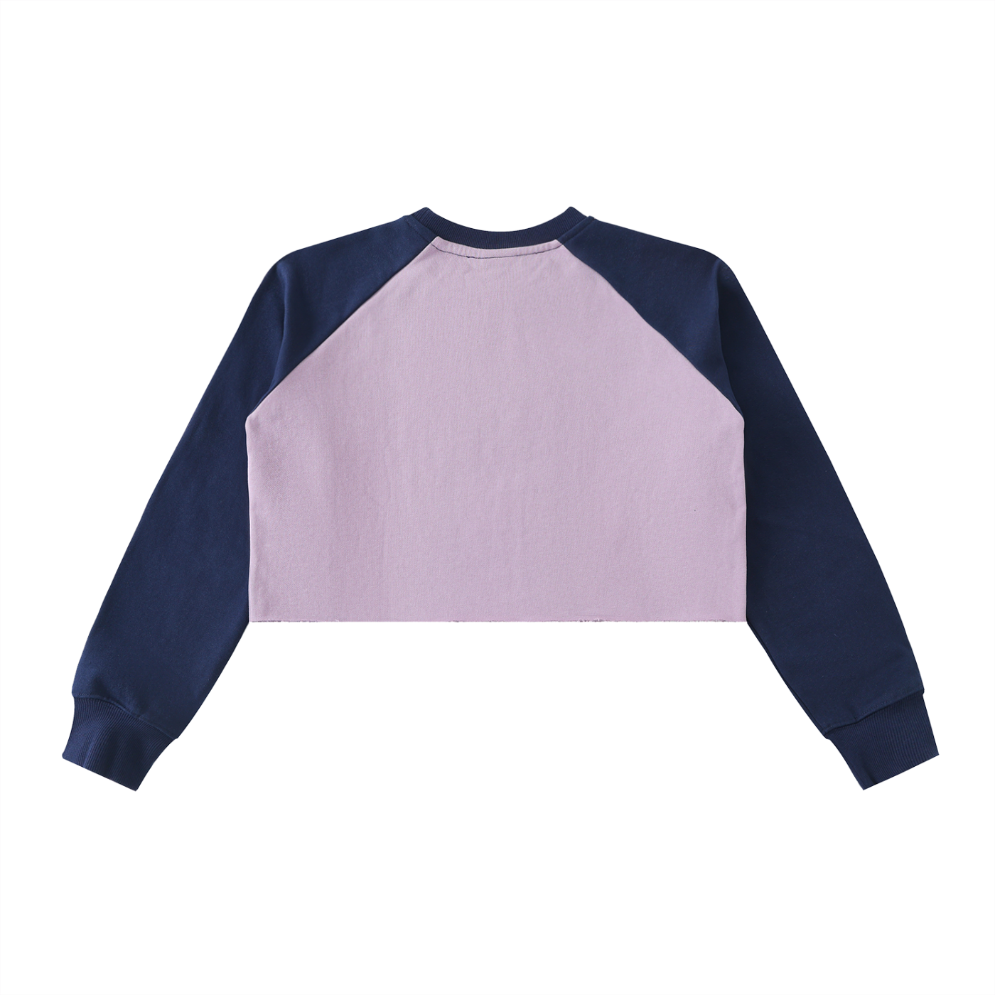 BG Women’s “Beautiful Mind” Crop Sweatshirt