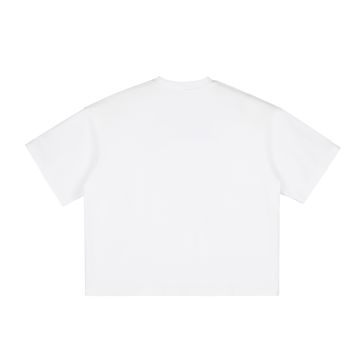 BG Vintage Washed T-Shirt(Boxy)