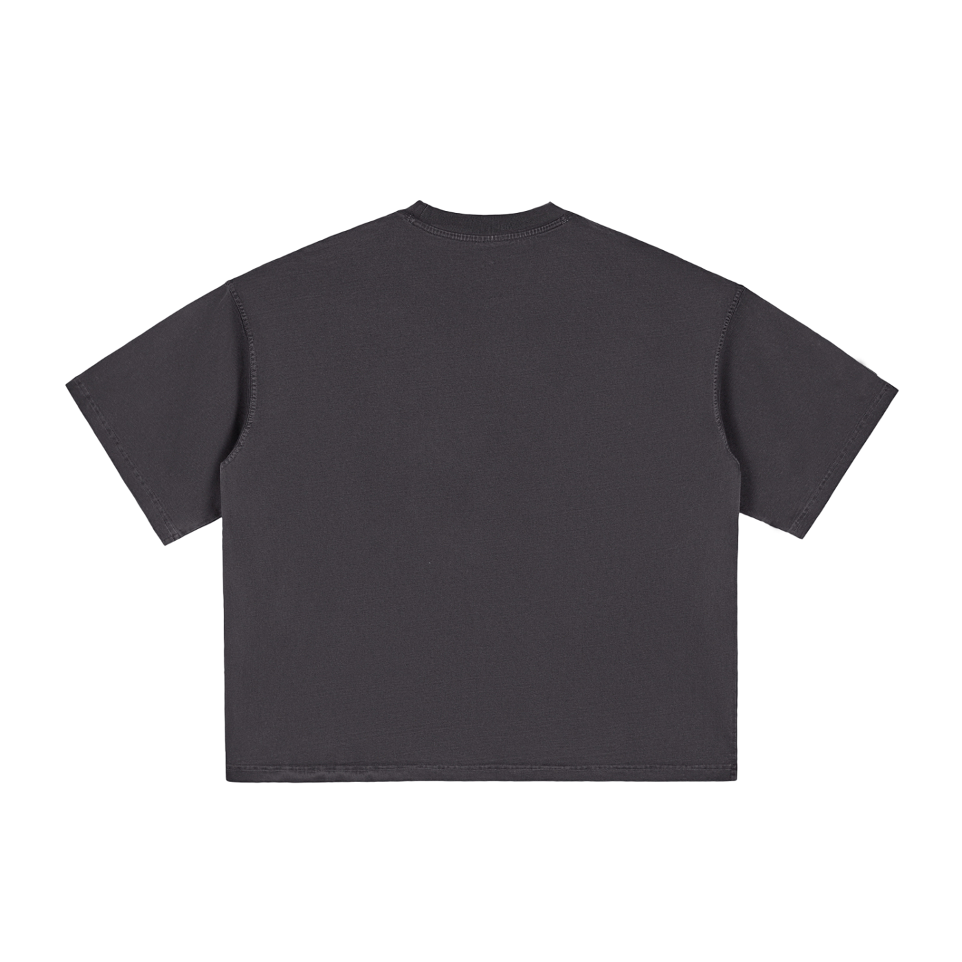BG Vintage Washed T-Shirt(Boxy)
