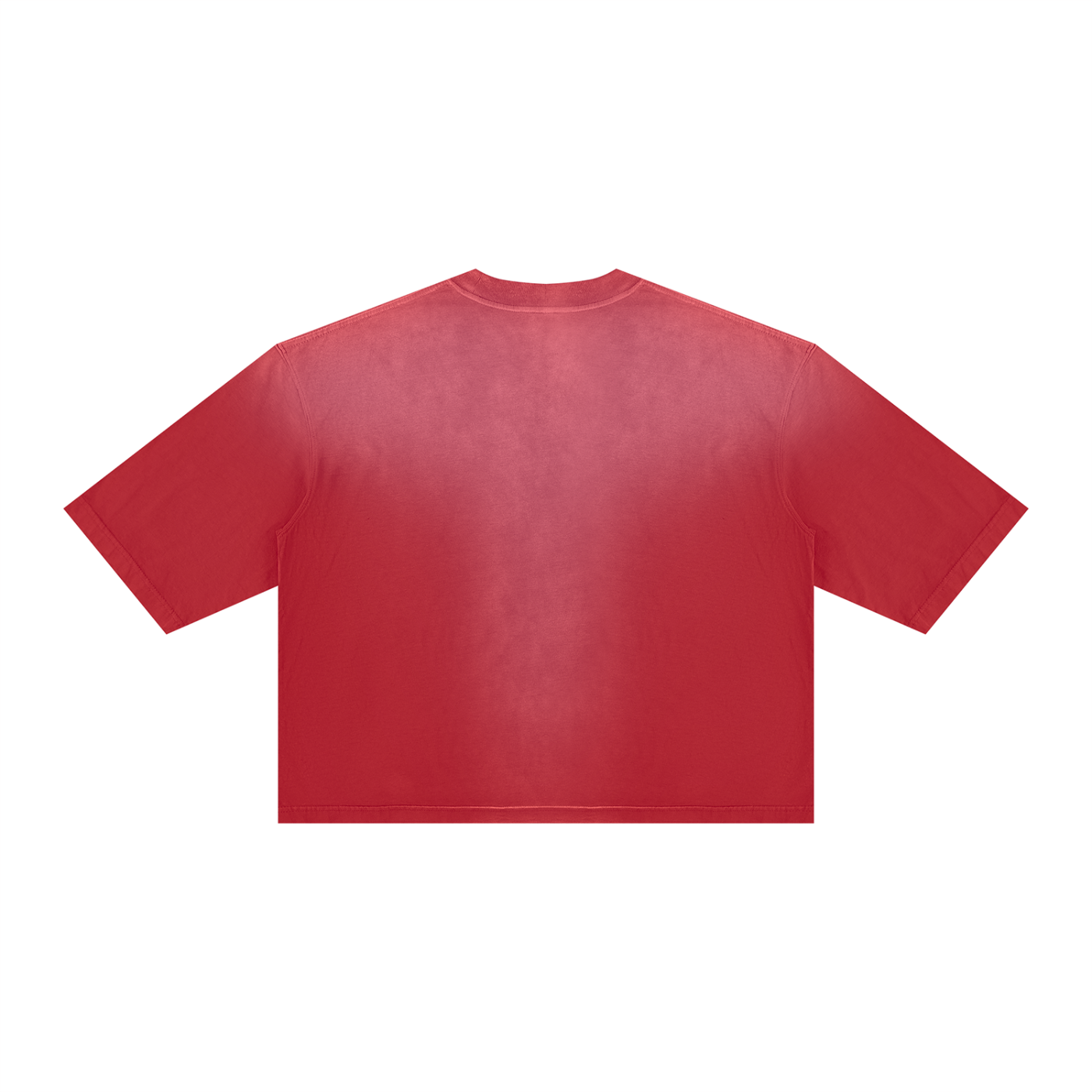 BG Unisex ”Almighty” Vintage Wash Boxy T-Shirt